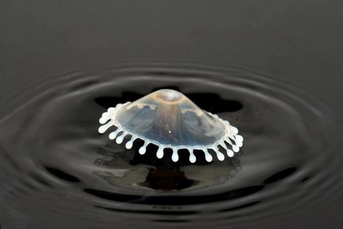 Amazing water drop photography