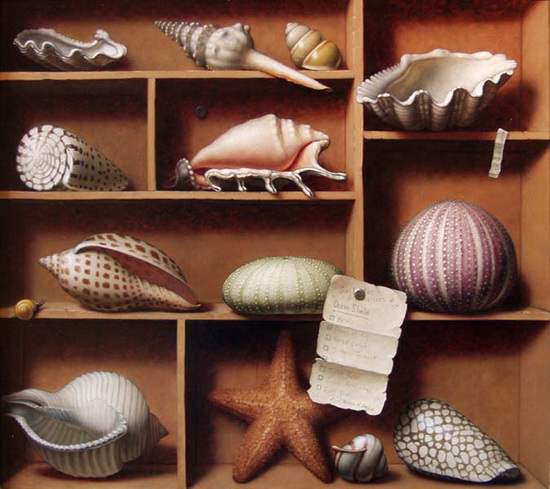 Sea Shell ..