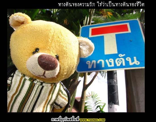 หมีน้อยสอนรัก