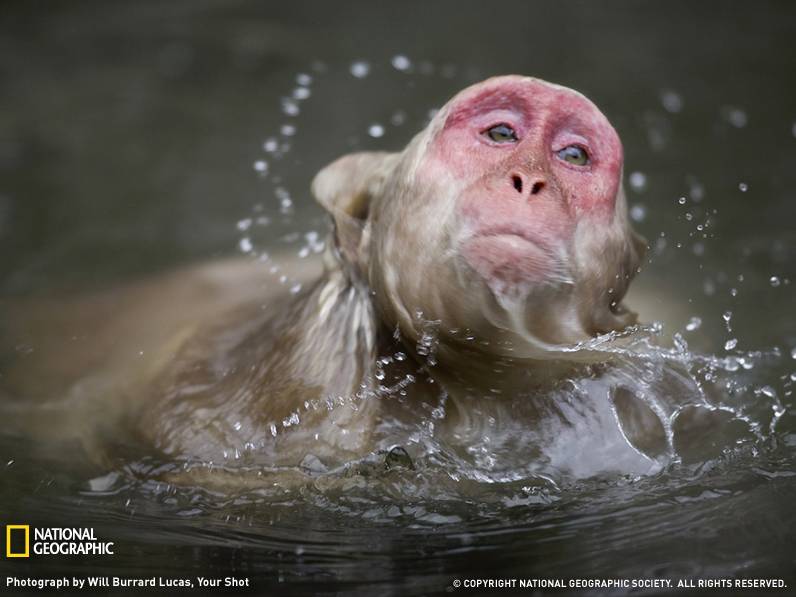 รวมภาพสิ่งมีชีวิตที่สวยงาม