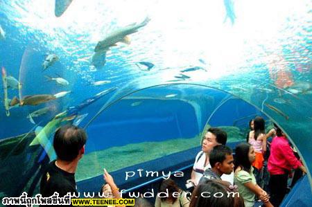 UNDER.WATER.WORLD_Pattaya