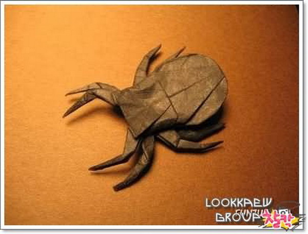 แมลงกระดาษ ( 1 )