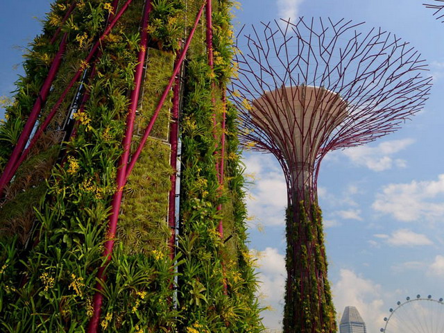 “ซุปเปอร์ทรี” ต้นกำเนิดพลังงานแสงอาทิตย์ที่สิงคโปร์