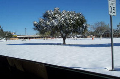 หนาว..หนาว ไปกับเทศกาล \"Christmas\"ใน Holland(2)  