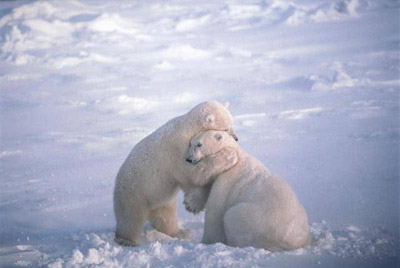But Most of All ... I Wish You Lots of Bear Hugs 