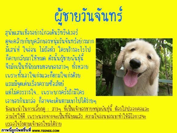 ผู้ชายกับ สุนัข