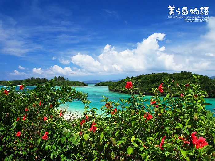 Okinawa Beach @ Japan #3