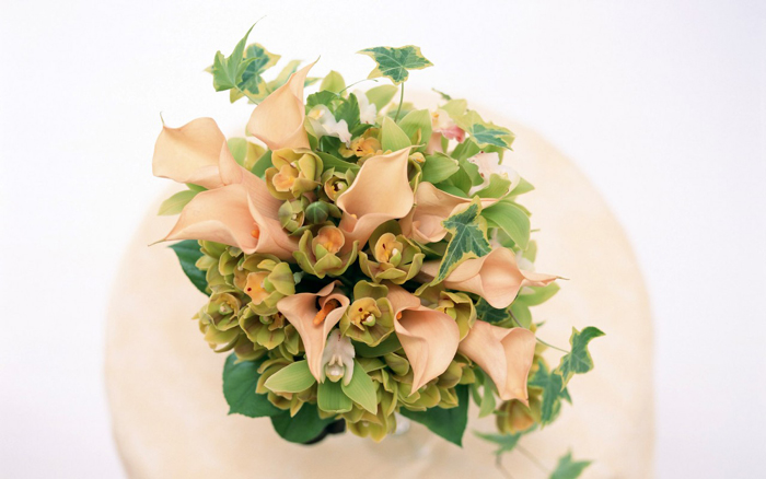 Flora In Wedding Ceremony •°•.° ღღღ 3