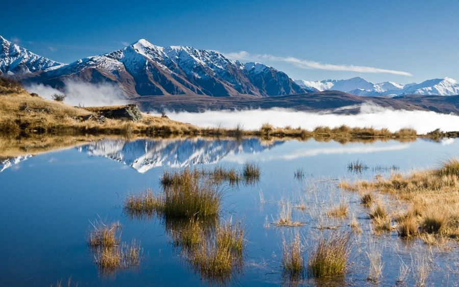 ♥New Zealand Landscape♥