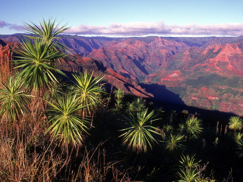 Canyon Lands