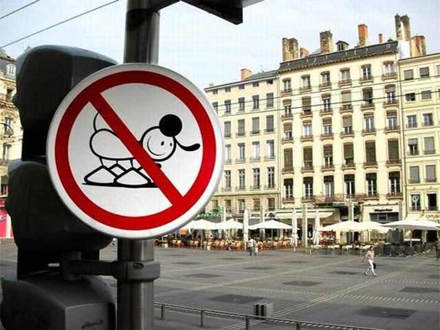 Funny Traffic Signs (2) 