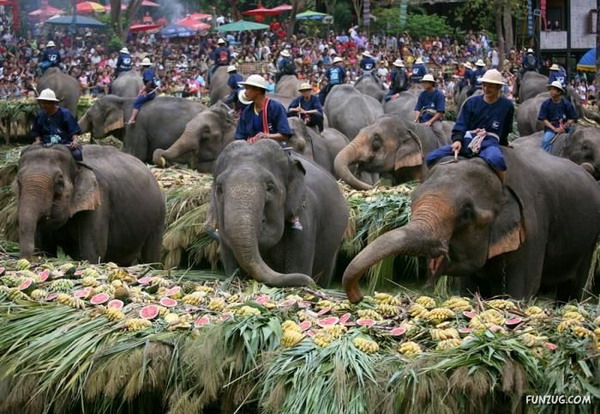 วันช้างในประเทศไทย