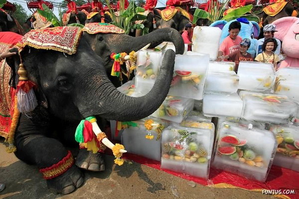 วันช้างในประเทศไทย