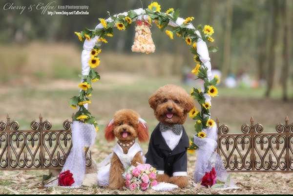 รูป Wedding ที่น่ารัก