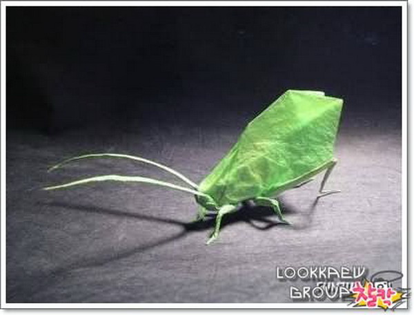 แมลงกระดาษ ( 2 )