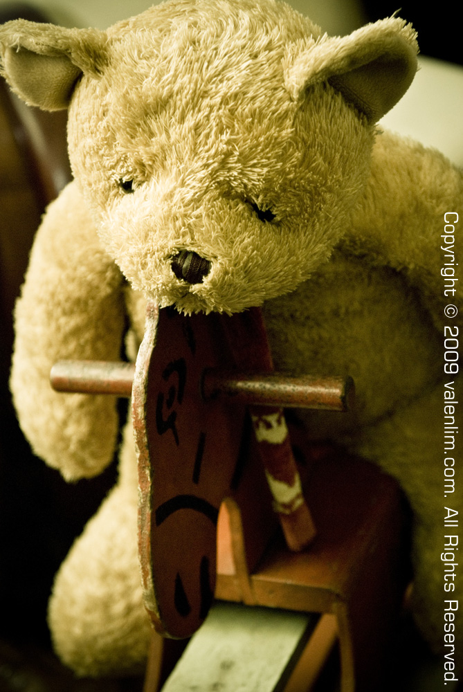 อีกกี่ลมหนาว..(LONELY BEAR)..