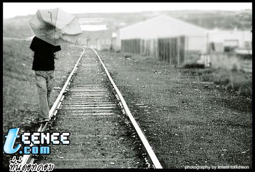 ภาพ : Raining