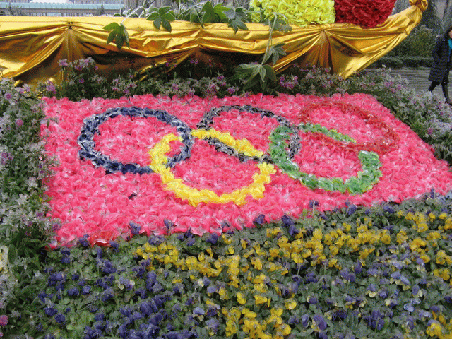 After ice rain in South China‏