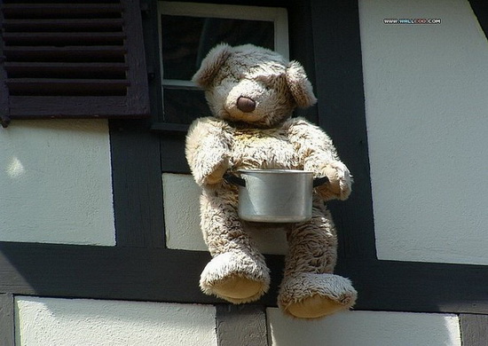 ~Teddy on Garden~