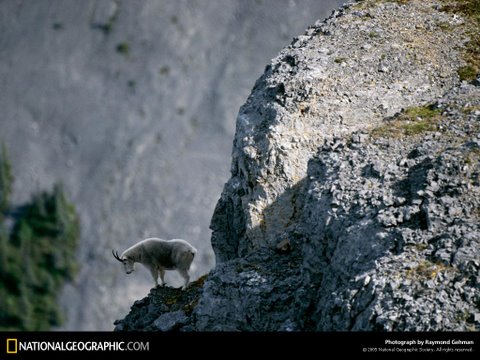 สุดยอดภาพ National Geographic (1)