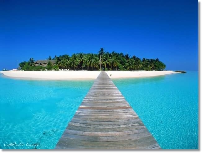 ๏~* Maldives ~ The Dream Paradise *~๏ (1)