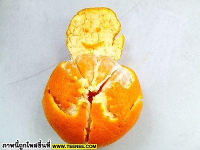 น่ารักสุดๆ หุ่นยนต์จากเปลือกส้ม