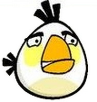 Angry birds ของจริงสีสดใสจริงๆ 