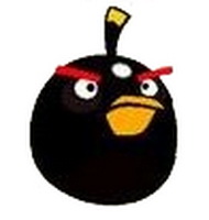 Angry birds ของจริงสีสดใสจริงๆ 