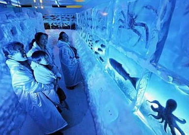 พิพิธภัณฑ์สัตว์น้ำแช่แข็งในประเทศญี่ปุ่น 