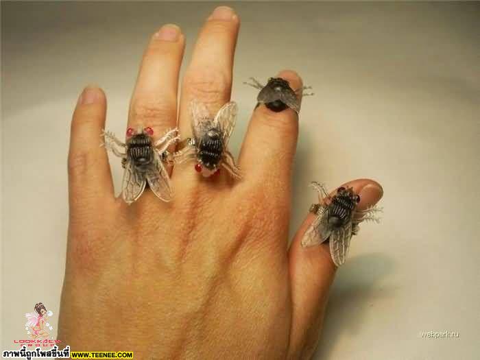ยี้...แหวนแมลงวัน กล้าใส่กันป่ะ