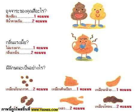 ๏~* วันนี้ คุณอึแล้วหรือยัง? *~๏ 