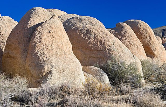 Joshua Tree National Park