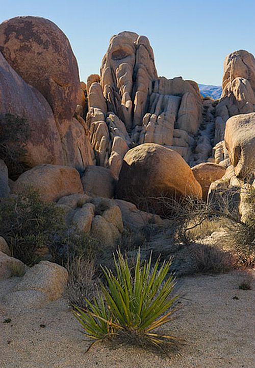 Joshua Tree National Park