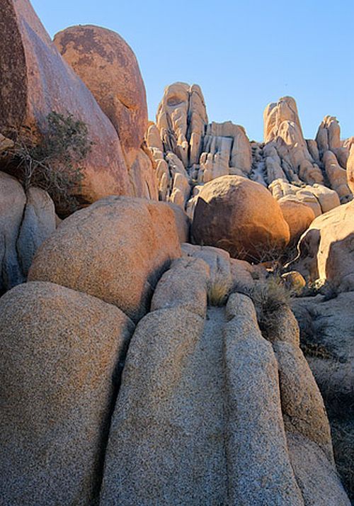 Joshua Tree National Park