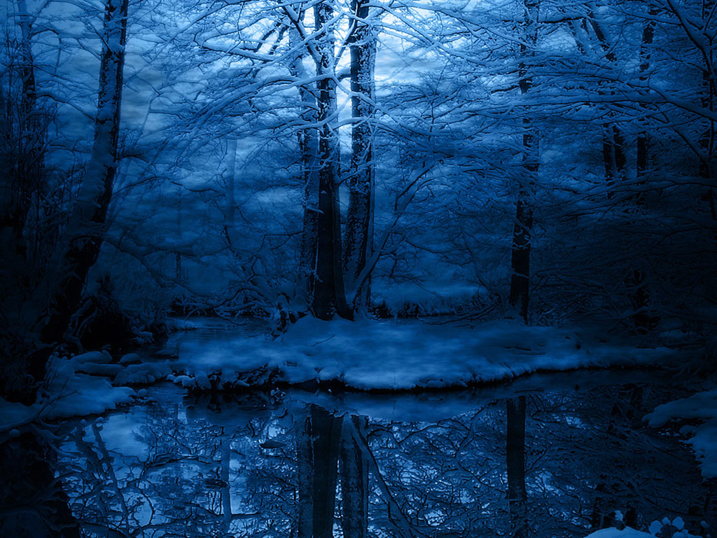 Ever_Secluded,_Winter_Woodland