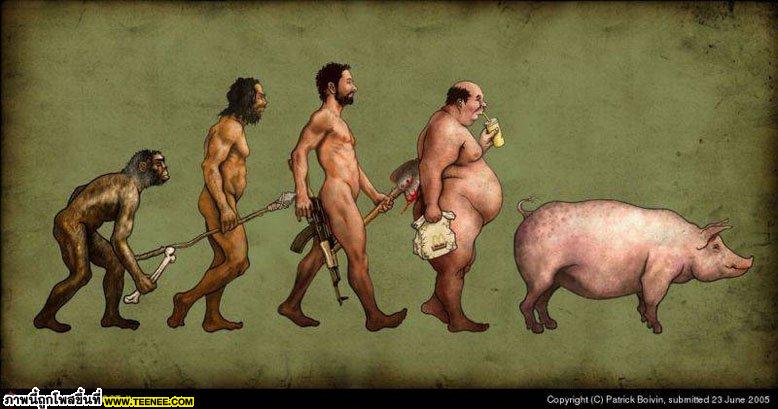 วิวัฒนาการของมนุษย์