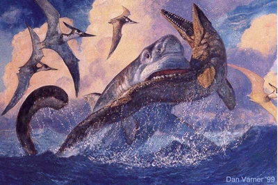 ภาพวาดจำลองเหตุการปลาฉลาม