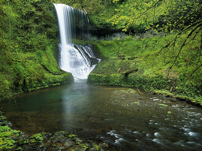 Middle Falls Silver Creek Falls Oregon