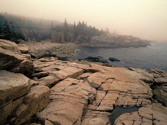 Fog Laden Acadia National Park Maine