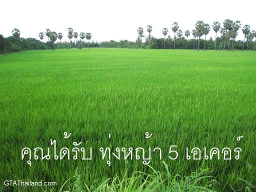 เห็นแล้วรับรองต้อง....จี๊ด