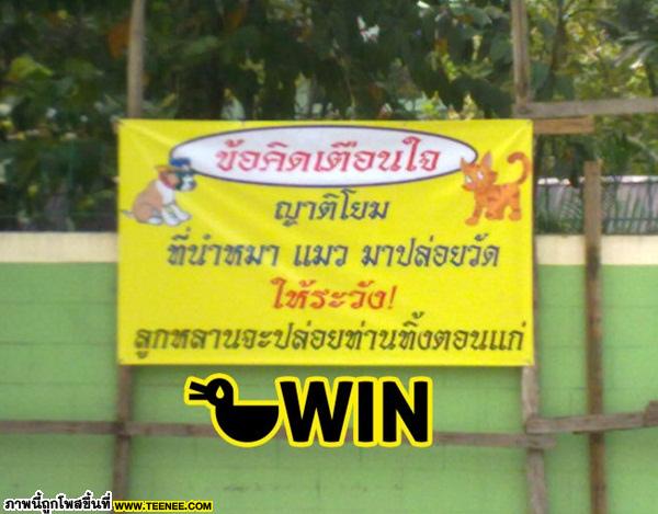 ทิ้งมันไป