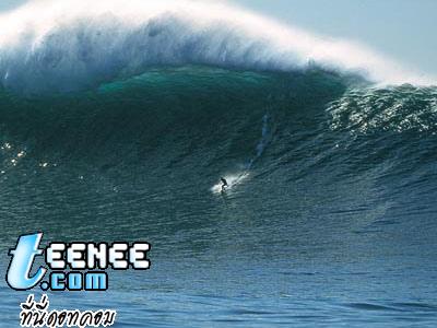 Big Wave Surfing  หวาดเสียว !!!