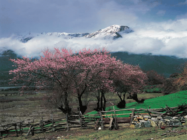 อีกมุมหนึ่งของทิเบต.. สวยมาก (In Tibet)