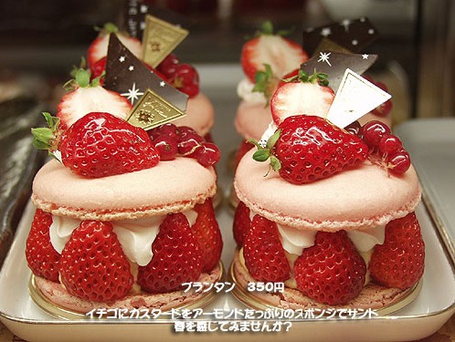 Japaneese Cakes