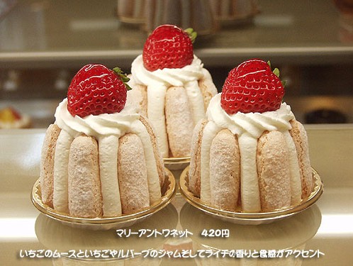 Japaneese Cakes