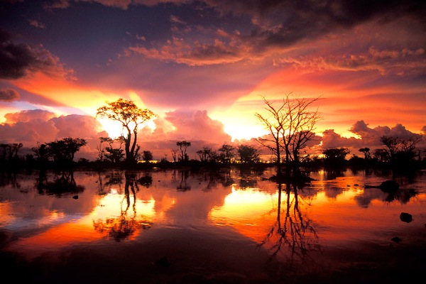 **Etosha National Park in Namibia** (1)