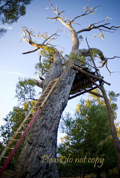 An Enchanted Playhouse 