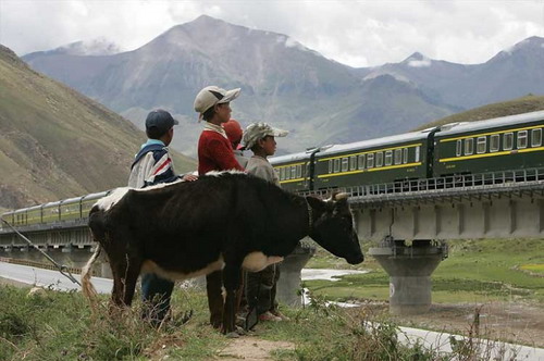 เส้นทางชีวิต ของรถไฟสายหลังคาโลก(ทิเบต)