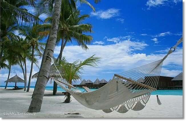 ๏~* Maldives ~ The Dream Paradise *~๏ (2)