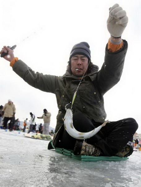 เทศกาลตกปลาใต้น้ำแข็งที่เกาหลี 